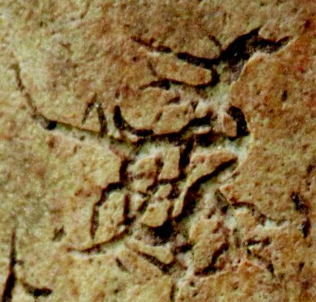 骨刻文是远古人刻写的文字不容置疑